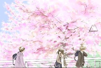 糖心tv入口